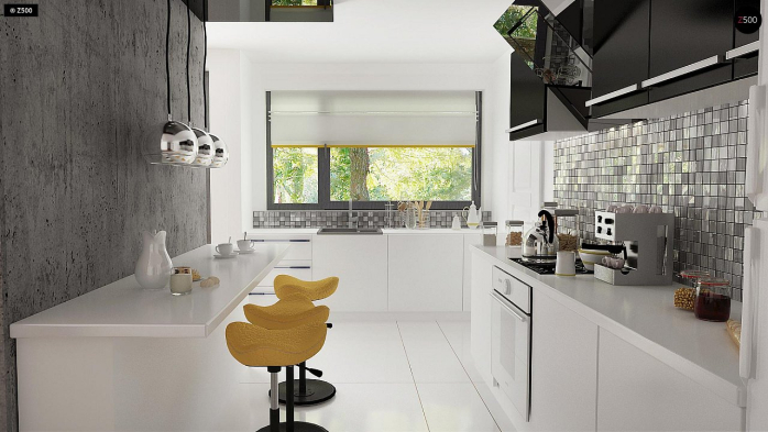 Проект дома Ux103 bG - 10 Одноэтажные дома в Киеве