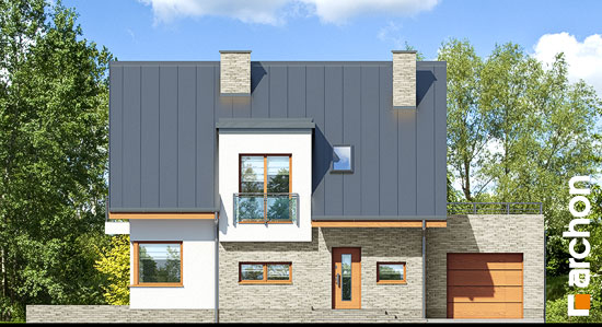 Проект дома Дом в амариллисах 5 - 3 С мансардным этажом дома в Киеве