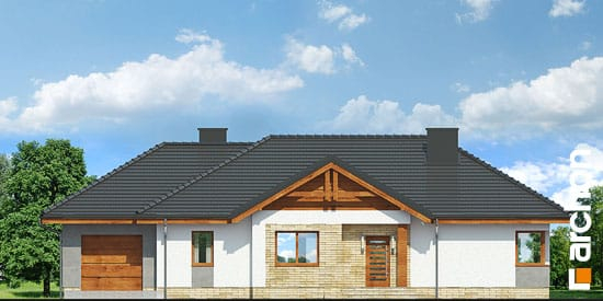 Проект дома Дом в лещиновнике 5 - 3 Одноэтажные дома в Киеве