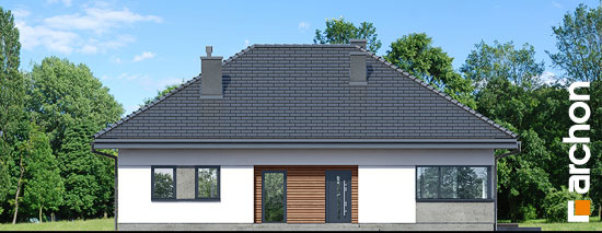 Проект дома Дом в жонкилях (В) - 3 Одноэтажные дома в Киеве