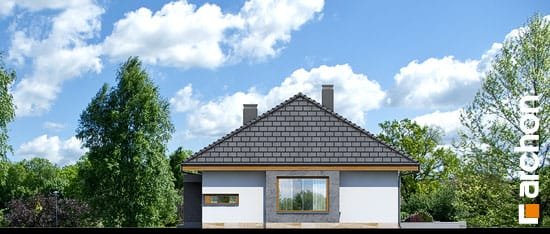 Проект дома Дом под красной рябиной (ГН) вер.2 - 4 Одноэтажные дома в Киеве