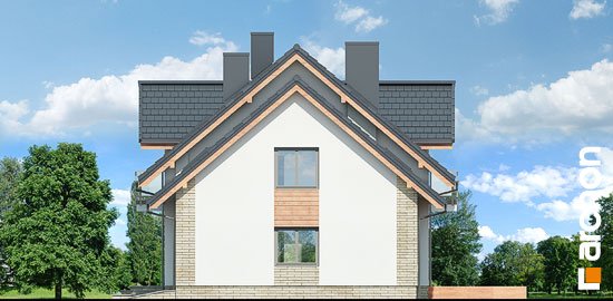 Проект дома Дом в рододендронах 23  - 4 С мансардным этажом дома в Киеве