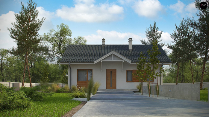 Проект дома U308 - 8 Одноэтажные дома в Киеве