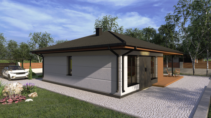 Проєкт будинку Db 12 - Одноповерхові дома у Києві