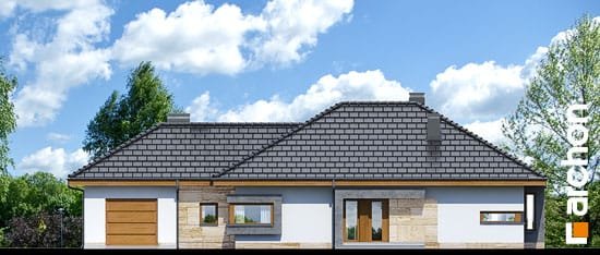 Проект дома Дом под красной рябиной (ГН) вер.2 - 3 Одноэтажные дома в Киеве