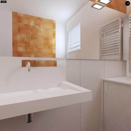 Проект дома U204 GP - 21 Одноэтажные дома в Киеве