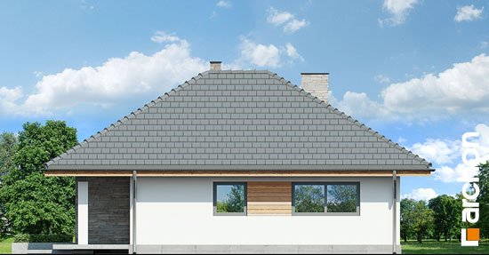 Проект дома Дом в сирени вер.2 - 4 Одноэтажные дома в Киеве