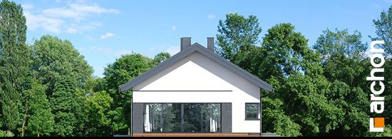 Проект дома Дом в пеперомиях 5 (Г2) - 5 Одноэтажные дома в Киеве