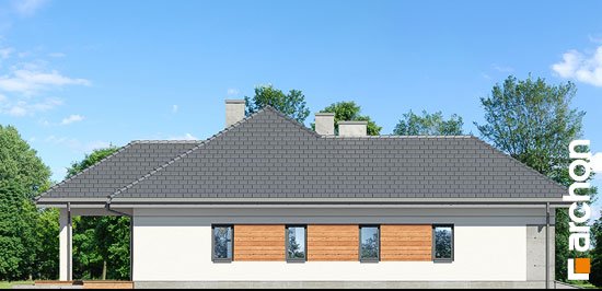 Проект дома Дом в жонкилях (Г2) - 5 Одноэтажные дома в Киеве