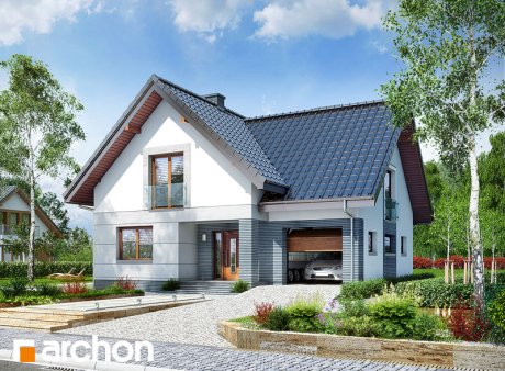 Проект дома Дом в алоизиях