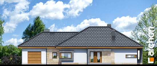 Проект дома Дом под красной рябиной (ГН) вер.2 - 3 Одноэтажные дома в Киеве