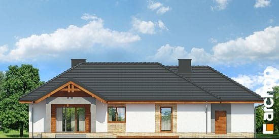 Проект дома Дом в лещиновнике 5 - 6 Одноэтажные дома в Киеве