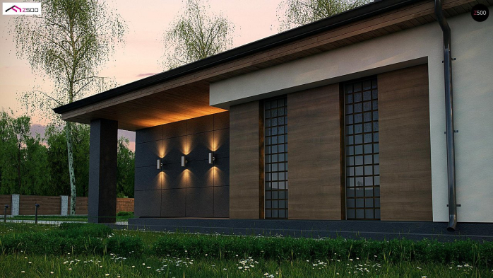 Проект дома U356 - 3 Одноэтажные дома в Киеве