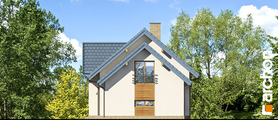 Проект дома Дом под финиковой пальмой (Г2) вер.2 - 4 С мансардным этажом дома в Киеве