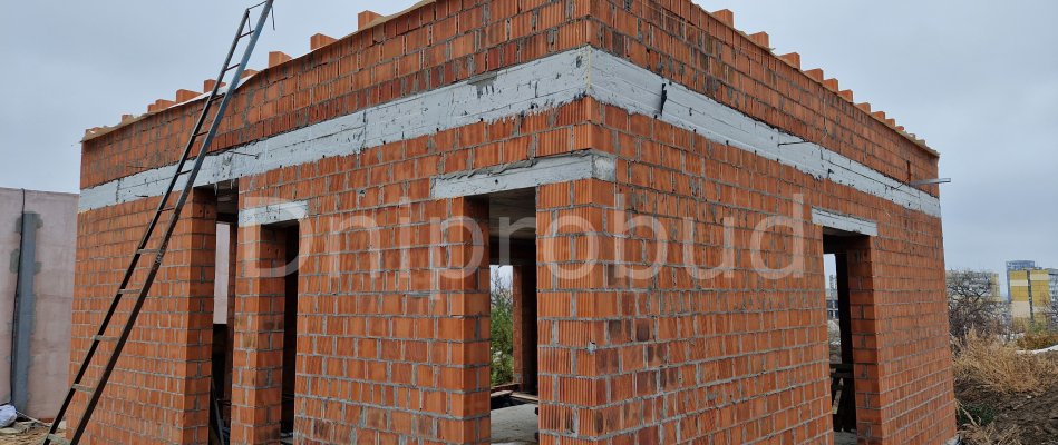 Невеликий будинок з плоскою покрівлею на Соколі
