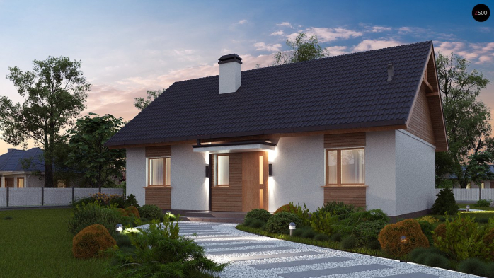 Проєкт будинку U313 - Одноповерхові дома у Києві