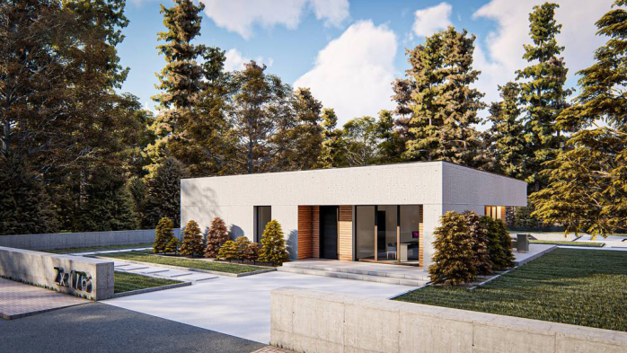 Проект дома Ux176 - 2 Одноэтажные дома в Киеве