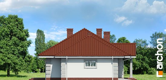 Проект дома Дом под красной рябиной (Г) вер.3 - 5 Одноэтажные дома в Киеве