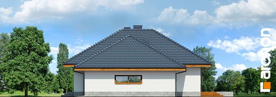 Проект дома Дом в альвах (Г2) - 4 Одноэтажные дома в Киеве