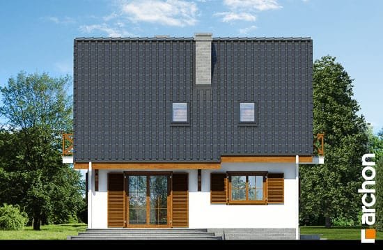 Проект дома Дом в землянике 3 (П) вер.2 - 6 С мансардным этажом дома в Киеве