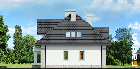 Проект дома Дом в эхинацеях 3 вер.2 - 4 С мансардным этажом дома в Киеве