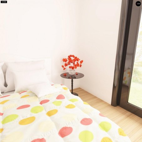 Проєкт будинку U209 - Одноповерхові дома у Києві