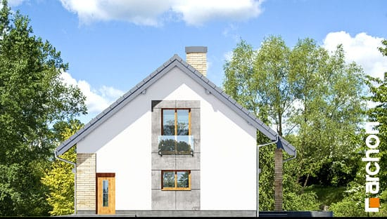 Проект дома Дом в вистерии 3 - 4 С мансардным этажом дома в Киеве