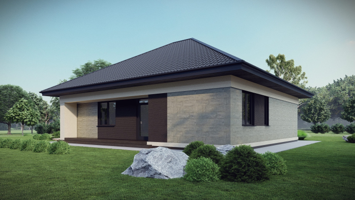 Проєкт будинку DBT 668 - Одноповерхові дома у Києві
