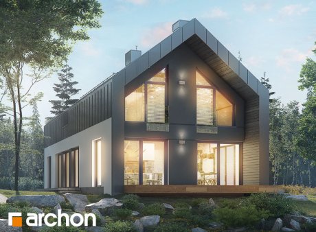 Проект дома Дом в женьшене (Г2П)