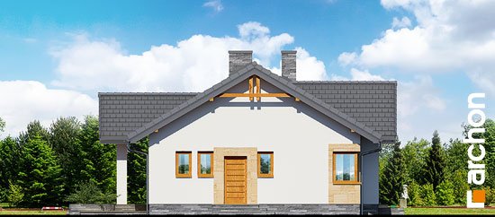 Проект дома Дом в лещиновнике 2 - 5 Одноэтажные дома в Киеве