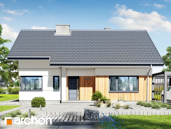 Проект дома Дом под липкой 2 - 1 Одноэтажные дома в Киеве