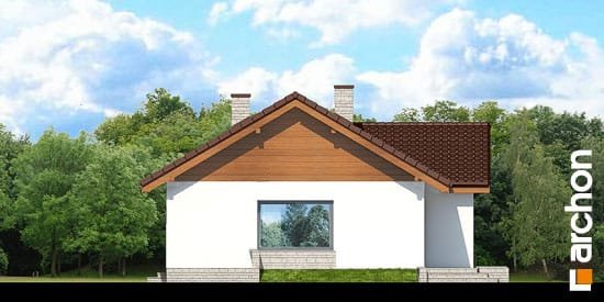 Проект дома Дом в плодолистике - 6 Одноэтажные дома в Киеве