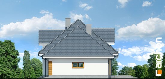 Проект дома Дом в сливах (Г2) - 4 С мансардным этажом дома в Киеве