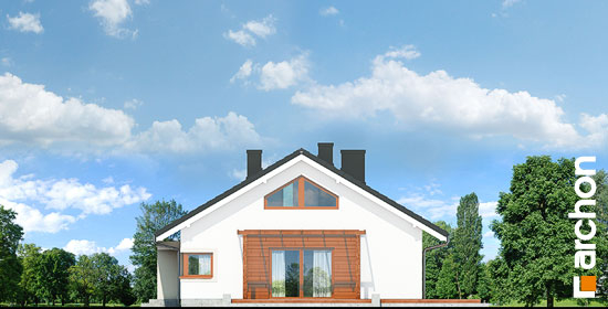 Проєкт будинку Будинок під червоною горобиною 17 (НТ) - З мансардним поверхом дома у Києві