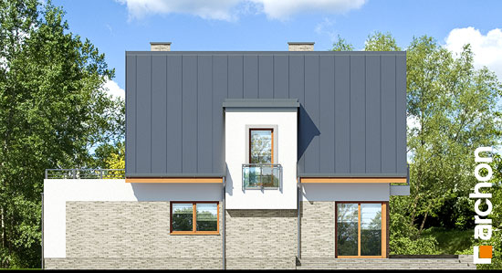 Проект дома Дом в амариллисах 5 - 6 С мансардным этажом дома в Киеве