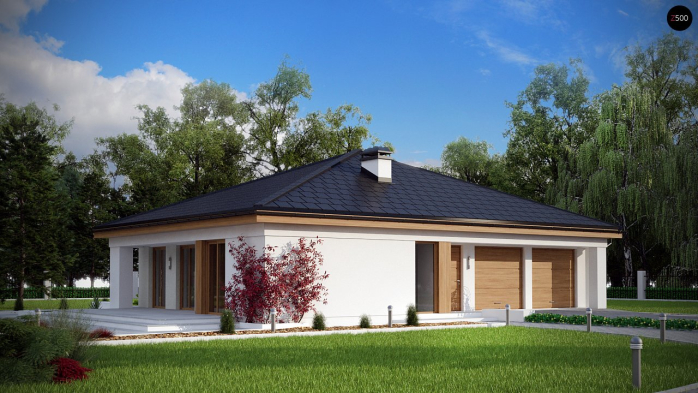 Проект дома U196 - 1 Одноэтажные дома в Киеве