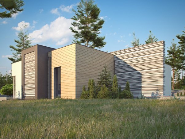 Проект дома Ux65 S - 5 Одноэтажные дома в Киеве