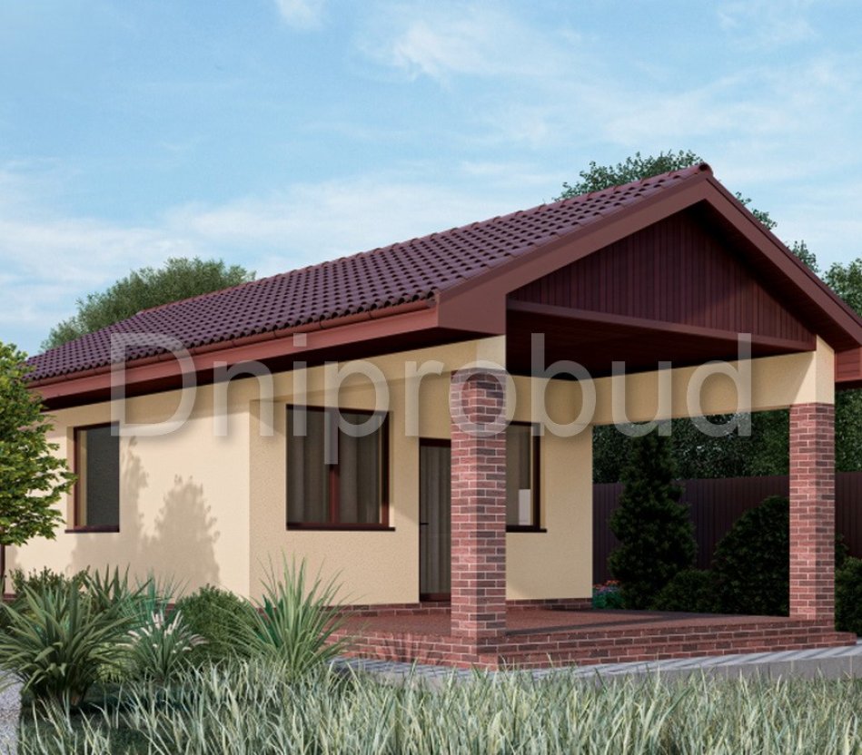 Современный одноэтажный дом в с. Белогородка