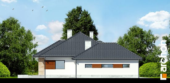 Проєкт будинку Будинок в акебіях 2 вер.2 - Одноповерхові дома у Києві