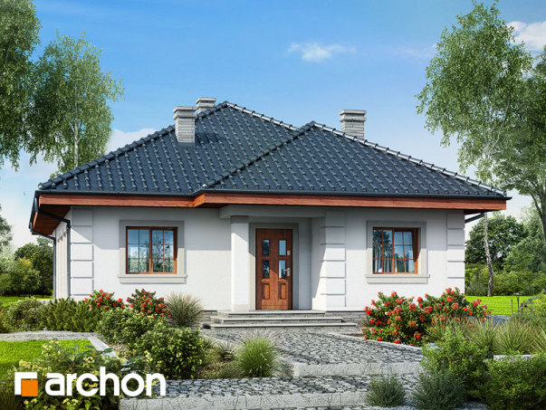 Проект дома Дом в имбире вер.2 - 1 Одноэтажные дома в Киеве