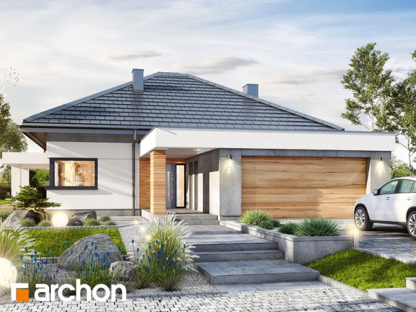 Проект дома Дом в нигеллах (Г2) - 1 Одноэтажные дома в Киеве