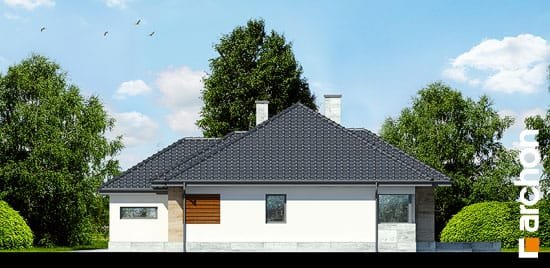 Проект дома Дом в акебиях 2 вер.2 - 4 Одноэтажные дома в Киеве