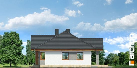 Проект дома Дом в лещиновнике 5 - 4 Одноэтажные дома в Киеве