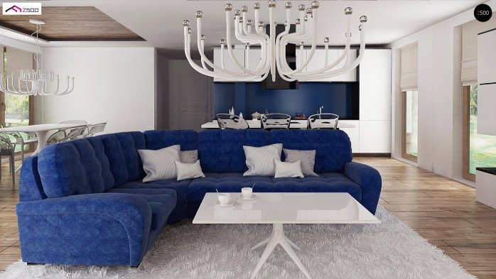 Проект дома U330 - 13 Одноэтажные дома в Киеве