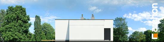 Проєкт будинку Будинок в хурмах 2 - Одноповерхові дома у Києві