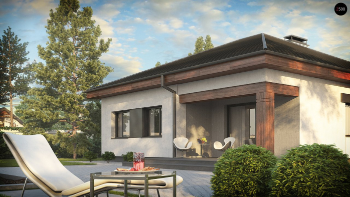 Проект дома U273 - 3 Одноэтажные дома в Киеве