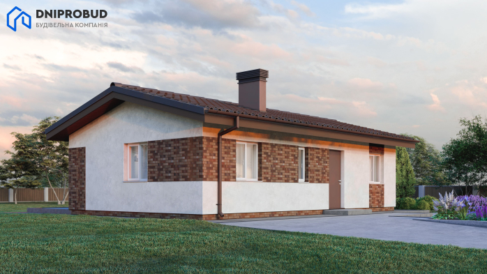 Проект дома DBE 1 - 3 Одноэтажные дома в Киеве