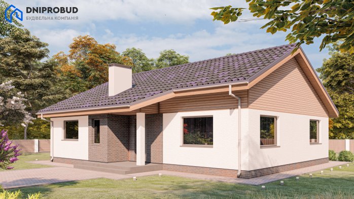 Проєкт будинку DB 30 - Одноповерхові дома у Києві
