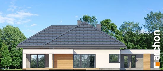 Проект дома Дом в нигеллах (Г2) - 5 Одноэтажные дома в Киеве