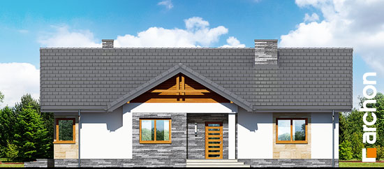 Проект дома Дом в лещиновнике 2 - 3 Одноэтажные дома в Киеве